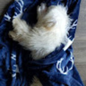 Meet your Posher, Sun